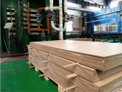 Transformer Electric Wood/Insulation Pre-Compressed Board /Press Pan /Sheet/Board