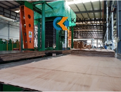 China Wholesale Laminated Wood Sheets/ High Densified Wood Board/Plywood Free Sample